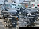 View Video