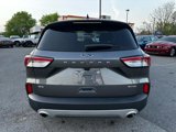 Used 2022 Ford Escape SE w/ Convenience Package image 6