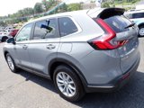 Used 2025 Honda CR-V EX-L image 5