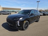 New 2025 Hyundai Palisade Calligraphy image 2