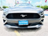 Used 2020 Ford Mustang Premium image 4