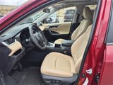 Certified 2025 Toyota RAV4 XLE image 3