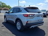 Certified 2020 Ford Escape SE image 4