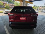 Used 2024 Toyota RAV4 XLE w/ Convenience Package image 6