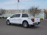 New 2025 Ford F150 XLT w/ Equipment Group 302A MID image 4