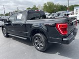 Used 2023 Ford F150 XLT image 4