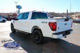 New 2025 Ford F150 XLT w/ Equipment Group 301A Standard image 5