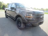 New 2025 Ford F150 XLT image 3