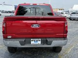 New 2025 Ford F150 XLT image 5