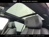 New 2026 Cadillac Vistiq Luxury image 5