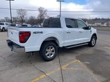 New 2025 Ford F150 XLT w/ Equipment Group 302A MID image 5