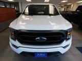 Certified 2023 Ford F150 XLT w/ Equipment Group 302A High image 3