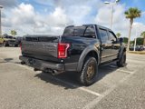 Used 2017 Ford F150 Raptor w/ Equipment Group 802A Luxury image 3