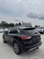 Used 2020 Ford Escape Titanium image 6