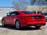 Used 2019 Ford Mustang Coupe image 4