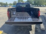 New 2025 Ford F150 XL w/ Equipment Group 103A High image 5