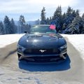 Used 2020 Ford Mustang Premium image 2