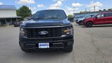 New 2025 Ford F150 STX image 3