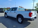 Used 2025 Ford Ranger XL image 5