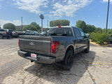New 2025 Ford F150 Platinum image 5