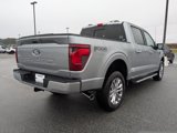 New 2025 Ford F150 XLT image 4