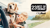 Used 2020 Chrysler Pacifica Touring-L image 5