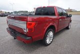 Used 2019 Ford F150 Limited w/ Trailer Tow Package image 6