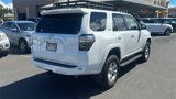 Used 2023 Toyota 4Runner SR5 Premium image 5