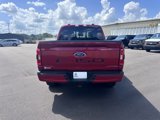Used 2021 Ford F150 XLT w/ Equipment Group 302A High image 4