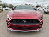 Used 2019 Ford Mustang Premium w/ Ford Safe & Smart Package image 2