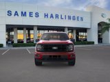 New 2025 Ford F150 XLT w/ Equipment Group 303A High image 6