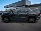 New 2025 Hyundai Palisade Calligraphy image 3
