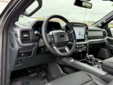 New 2025 Ford F150 XLT w/ Equipment Group 303A High image 3