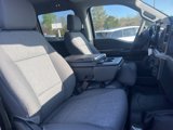 New 2025 Ford F150 XL w/ Equipment Group 103A High image 2