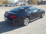 Used 2017 Ford Mustang Coupe image 6