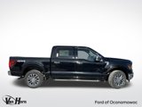 New 2025 Ford F150 XLT w/ Equipment Group 302A MID image 3