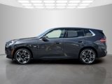 New 2025 BMW X3 xDrive30i w/ Convenience Package image 3