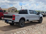 New 2025 Ford F250 Platinum image 5