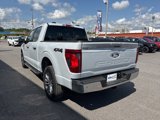 New 2025 Ford F150 XLT w/ Equipment Group 302A MID image 5