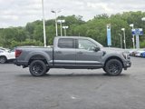 New 2025 Ford F150 Platinum w/ Equipment Group 702A High image 3