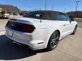 Used 2017 Ford Mustang Premium image 3
