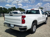 Used 2024 Chevrolet Silverado 1500 W/T w/ WT Fleet Convenience Package image 5