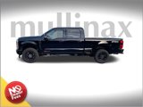 New 2025 Ford F250 Lariat image 2