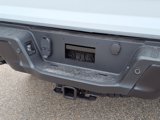 New 2025 Ford F150 Raptor image 5