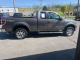 Used 2010 Ford F150 XLT image 5