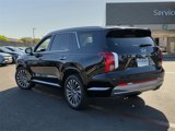 New 2025 Hyundai Palisade Calligraphy image 4