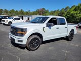 New 2025 Ford F150 STX image 3