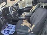 Used 2019 Ford F150 XLT image 5