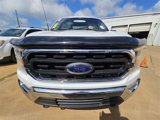 Used 2022 Ford F150 XLT w/ Equipment Group 301A Mid image 2