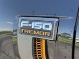 New 2025 Ford F150 Tremor w/ Equipment Group 402A High image 5
